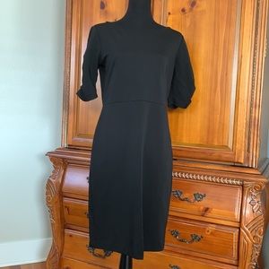Ann Taylor Sheath Dress With Rouged Sleeves